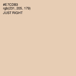 #E7CDB3 - Just Right Color Image